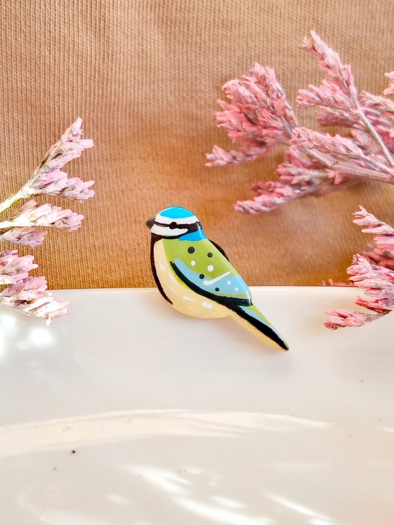 Pin ptaszek - Sikorka Modra