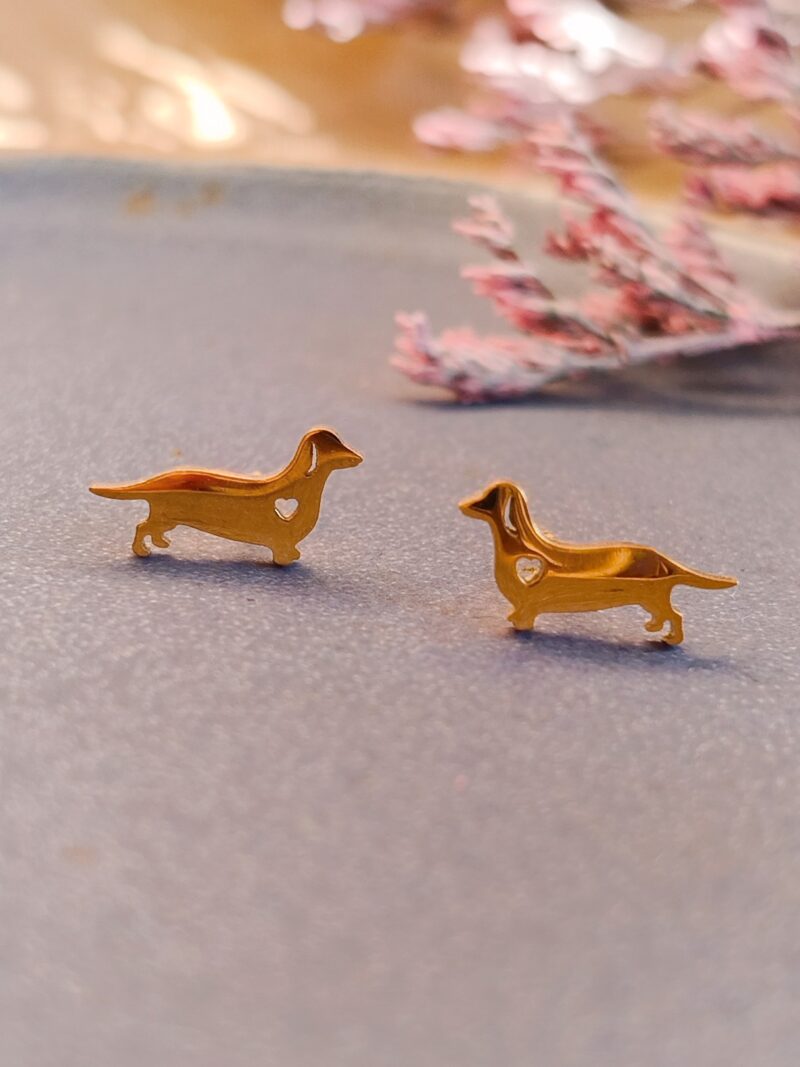 Sztyfty ze stali chirurgicznej - Jamniki