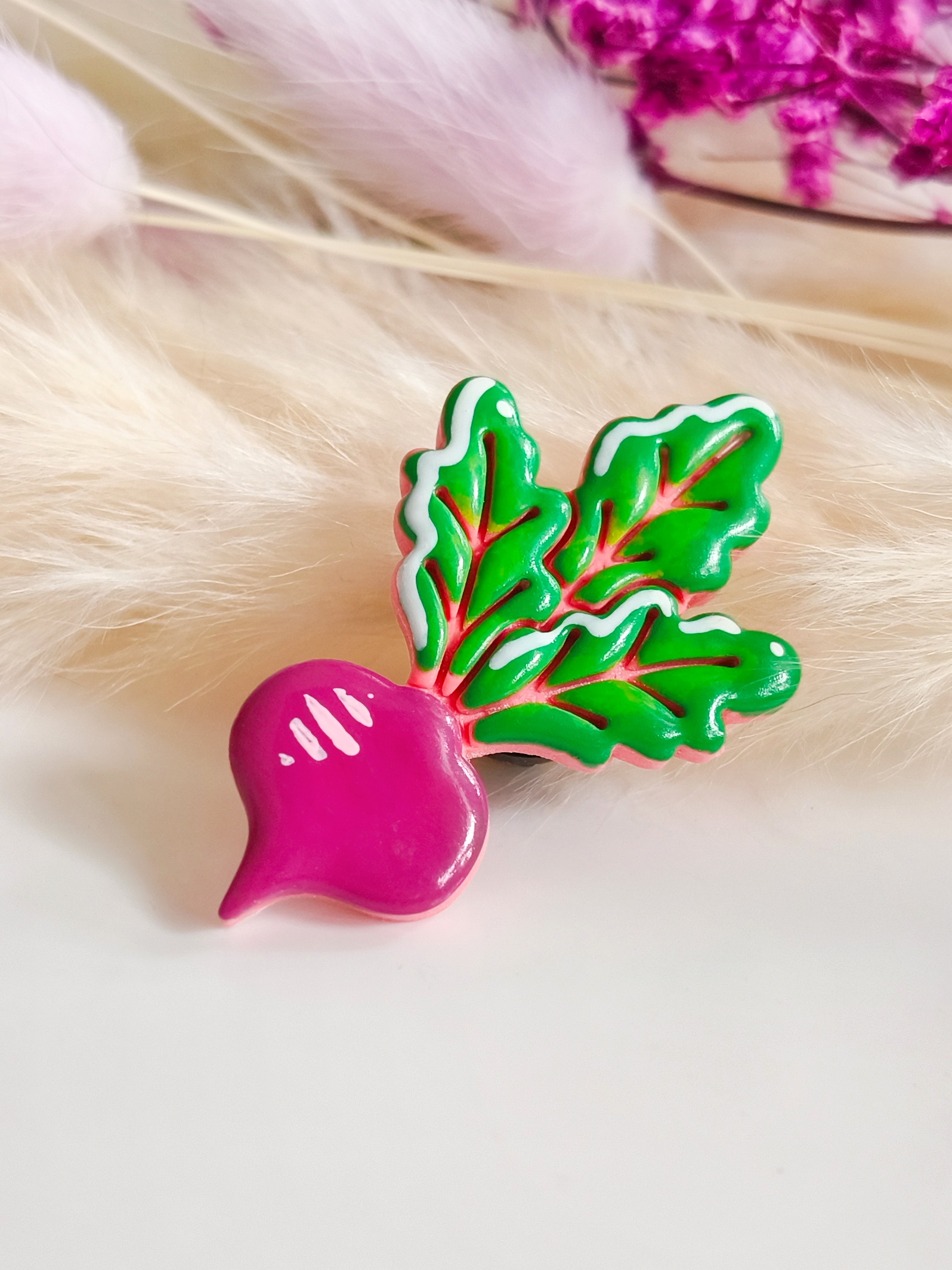 Pin roślina - Burak