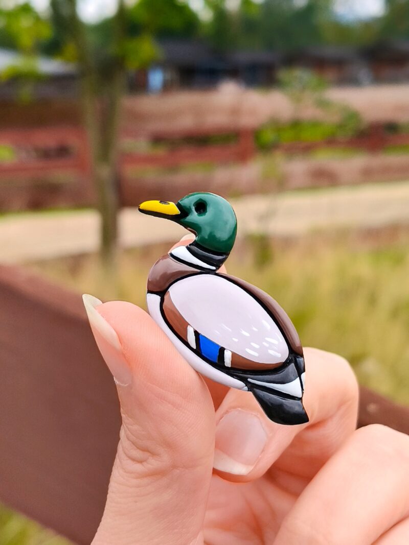 Pin ptak - Kaczor Kaczka Krzyżówka
